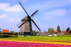 荷兰的风车景观:风车之国，置身童话世界(上千个风车)