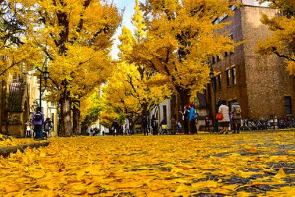 日本最好的大学:东京大学，培育11位诺贝尔奖16位首相