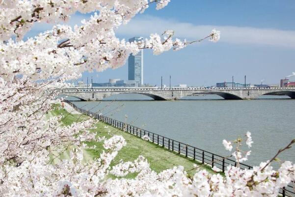 日本最长的河流:信浓川，长367公里洪水频发(日本母亲河)