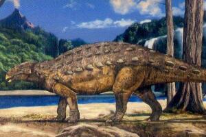 中原龙：中国河南小型食草恐龙（长3米/距今6500万年前）