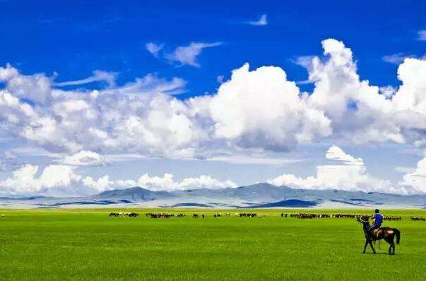 世界上最绿的草原:呼伦贝尔大草原，120种牧草(天然牧场)