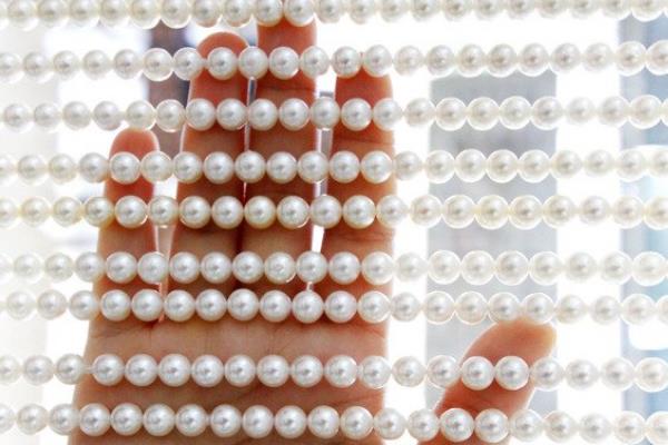 世界上最长的珍珠项链:耗费31万颗南珠(重169.89公斤)