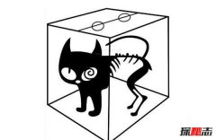 薛定谔的猫比喻什么?薛定谔的猫通俗解释，事物不确定性
