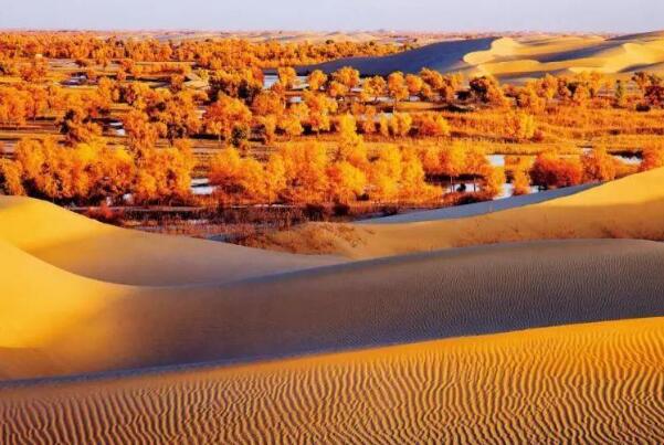 中国最大的沙漠:塔卡拉玛干沙漠，33万平方公里(死亡之海)