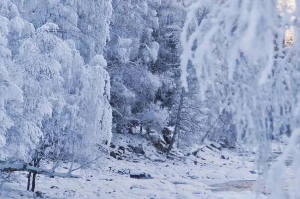“王炸级”寒潮又发威:威海积雪20厘米，广东最低温-5℃