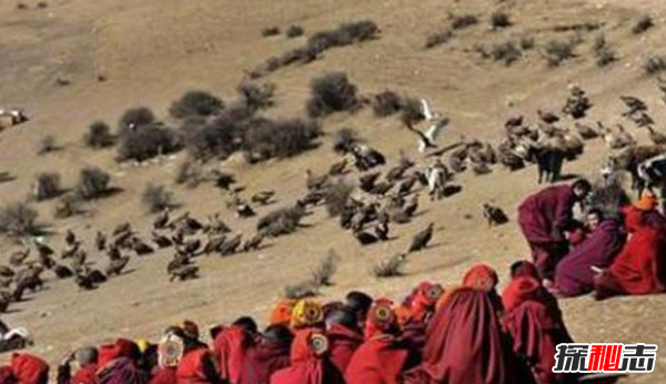 什么是天葬 西藏佛教徒的一种葬礼(让秃鹫吃掉死者尸体)