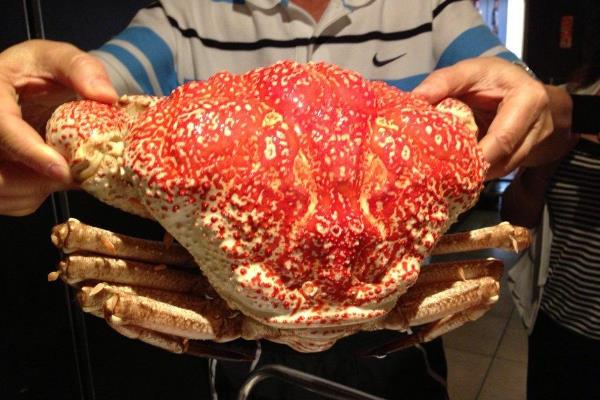 世界上最重的蟹:皇帝蟹(外壳似脸盆大小/最高72斤)