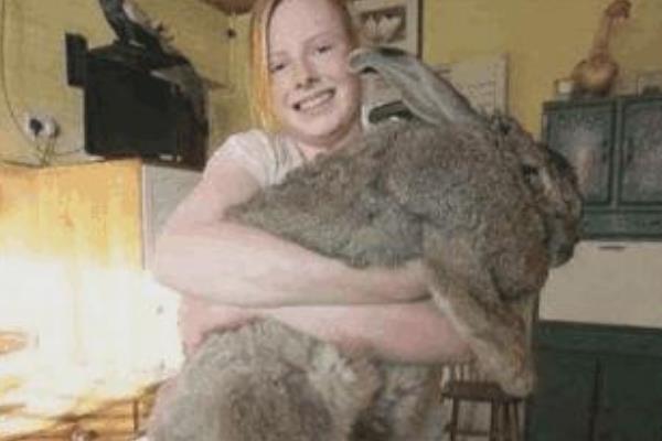 世界上最胖的兔子:每年要吃两万多块的食物(重达45斤)