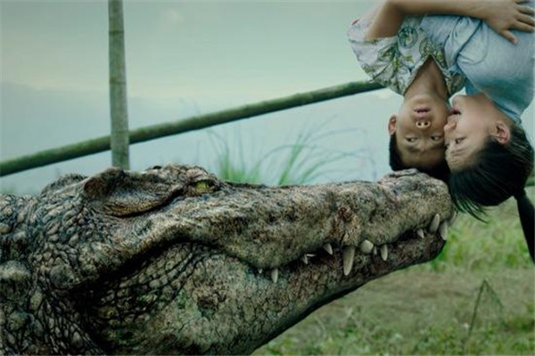 2011年西湖鳄鱼事件是真的吗 电影《百万巨鳄》的故事背景为西湖