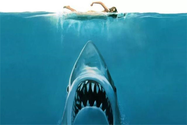 1993深圳鲨鱼吃人事件是如何发生的 揭秘深圳鲨鱼吃人事件过程