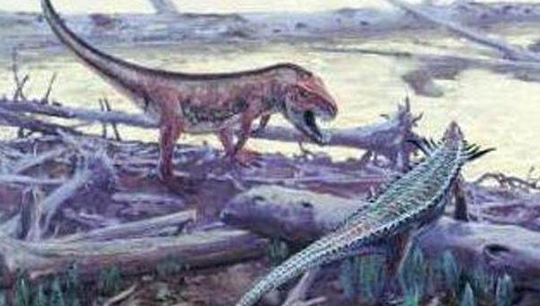 兔鳄长什么样子 兔鳄是恐龙的祖先吗（最被认可的祖先）