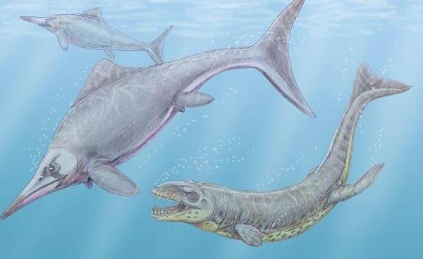 猛泳鳄：远古鳄鱼物种，体长5米生活在1.57亿年前