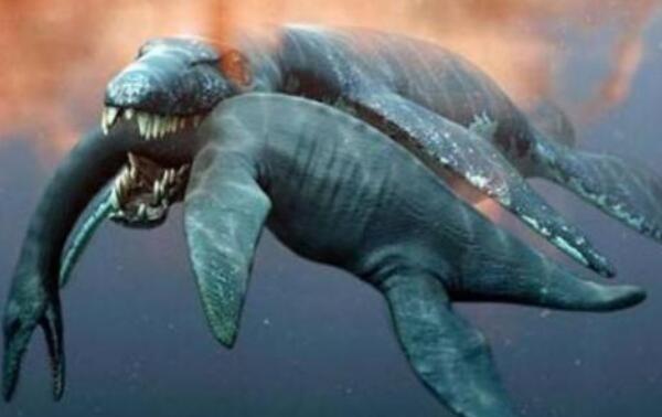 原始鲸鱼长什么样子：鳄鱼和水獭结合体，有强健四肢