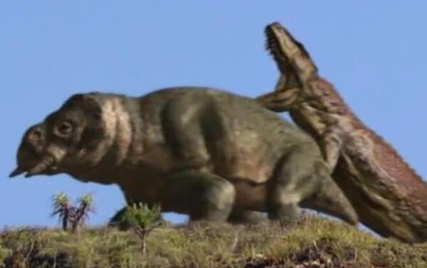 后鳄兽有多大：身长可达6米，霸王龙脑袋和鳄鱼身子