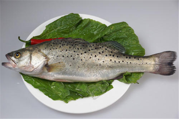 最适合孩子吃的八种鱼 这些鱼类营养丰富适合孩子吃