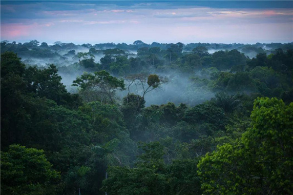 亚马逊森林能走出来吗 存在很多禁区很难走出来