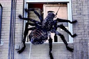 世界上最恐怖的真实事件：变异蜘蛛吃人，女孩梦游被吊死