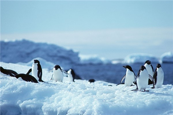 自然界最低温度：世界上最后一方净土南极（-89.2℃）