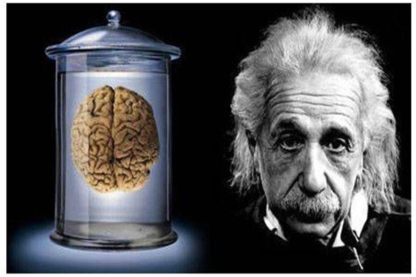 为什么要切爱因斯坦的大脑：爱因斯坦的大脑与正常人不同
