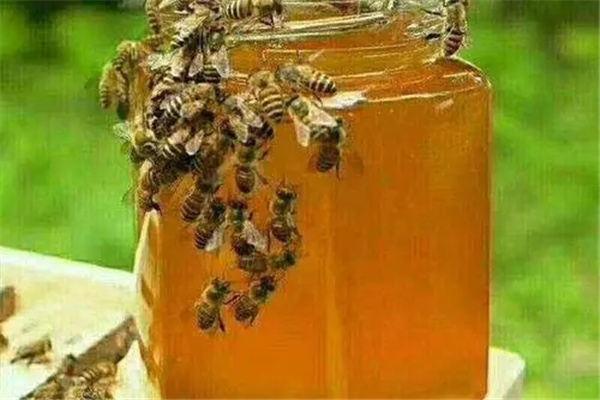 荔枝蜜和蜂蜜的区别：有独特气味（结晶不同）