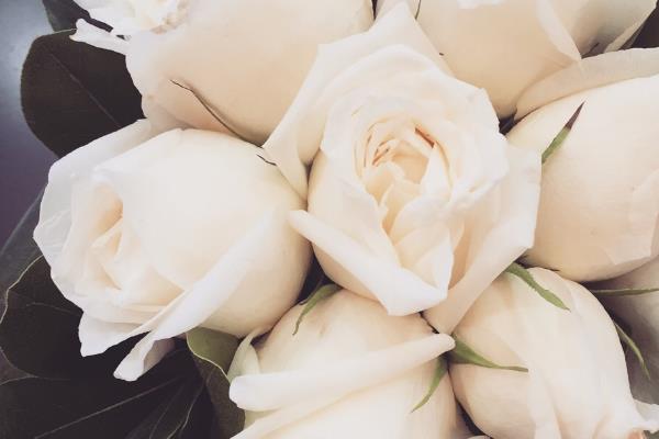 白玫瑰代表什么?表达纯洁浪漫的爱情(适合初恋)