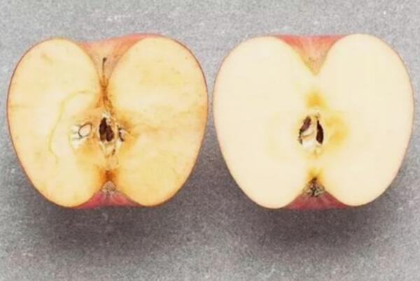 切开的苹果为什么会变颜色：氧化反应(不发黑的方法)