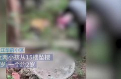 重庆两幼童坠亡案件：生父涉嫌故意杀人被捕(事件详情)