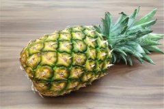 凤梨是菠萝吗：是菠萝的一个品种（两者有明显差异）