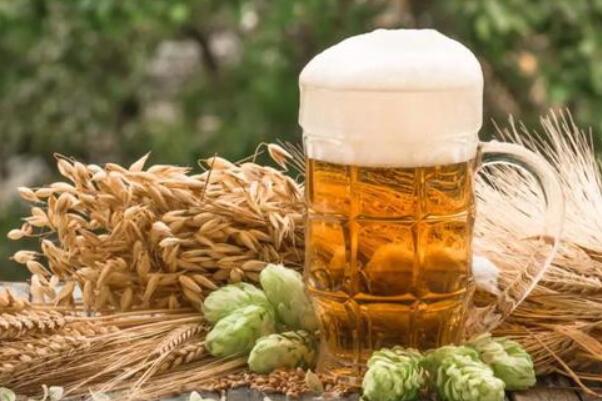 啤酒为什么有泡沫：蛋白质和二氧化碳作用(饮用更舒适)