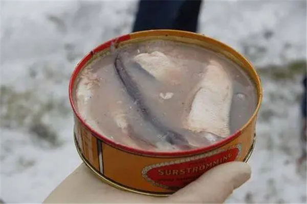 鲱鱼罐头是哪个国家的：奇臭无比（让人做呕）