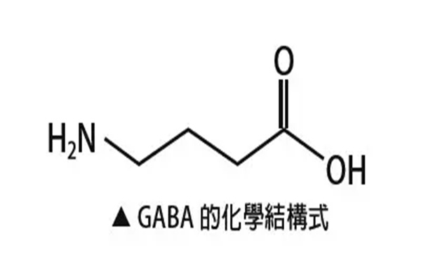 gaba是什么的简称：γ-氨基丁酸（一种非蛋白质氨基酸）