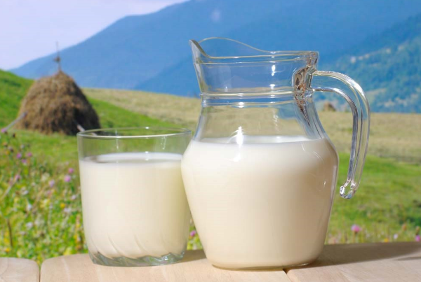 保护肝脏吃什么食物最好：牛奶可以降低胆固醇(海带清除毒素)