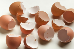 鸡蛋壳的功效与作用：抑制胃酸分泌(对美容养颜有奇效)
