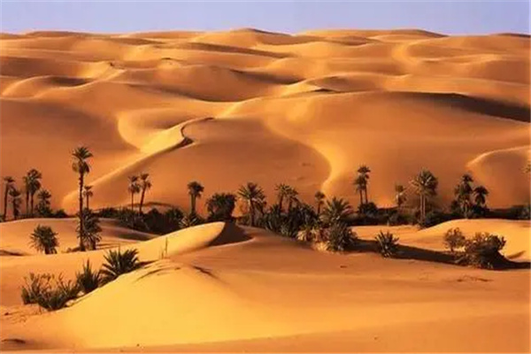 世界公认三大危险的沙漠：撒哈拉沙漠（十分危险）