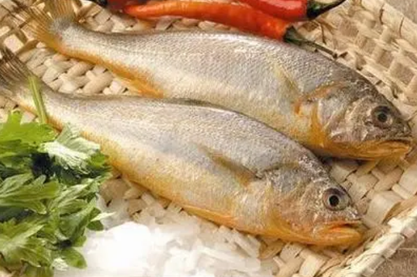 黄花鱼的营养价值：提供优质蛋白(可以预防失眠)