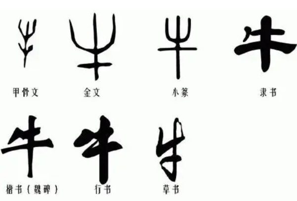 中国书法演变 ： 篆、隶、草、楷、行（历史悠久）