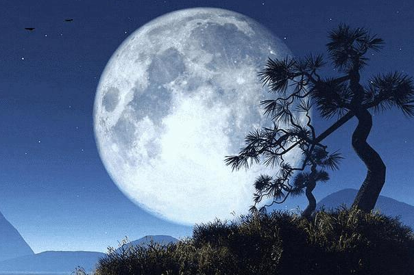 中秋节为什么赏月：将月亮作为情感的寄托(团圆的象征)