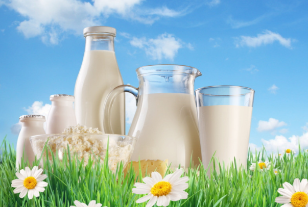 牛奶加热为什么容易溢出：由牛奶中的水分造成