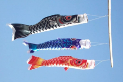 日本端午节为什么挂鲤鱼旗：鲤鱼旗象征勇气和力量(望子成龙)