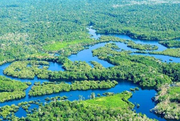 亚马孙热带雨林被称为什么：(地球之肺和绿色心脏)