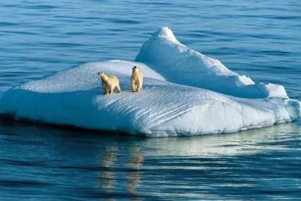 世界上最冷的地方：南极洲(最低气温为零下94.5摄氏度)