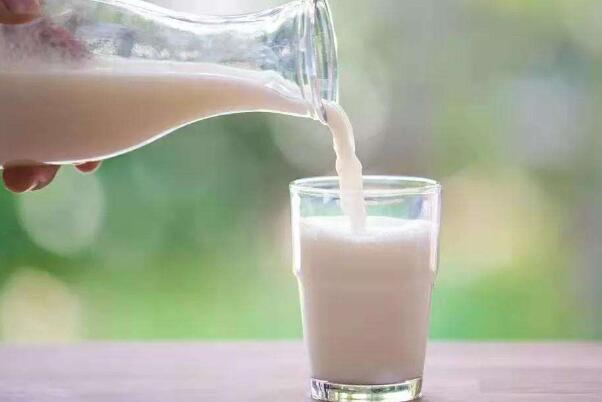 燕麦奶和牛奶哪个热量更高：燕麦奶(牛奶是低热量食物)