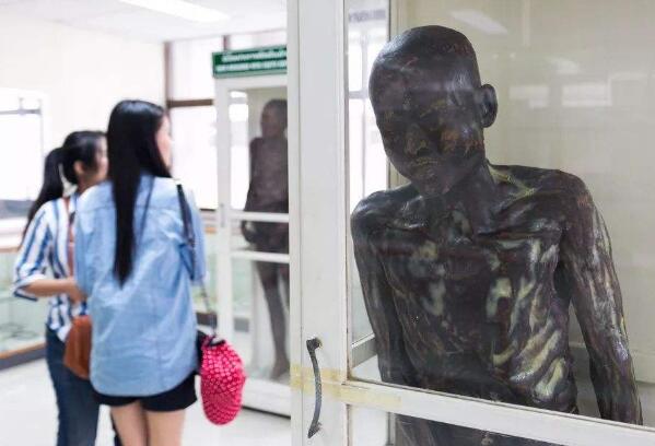 泰国干尸博物馆那个女尸是谁?据说是中国人(版本众多)