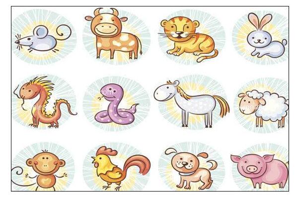 十二生肖排序表图：鼠/牛/虎/兔/龙/蛇/马/羊/猴/鸡/狗/猪