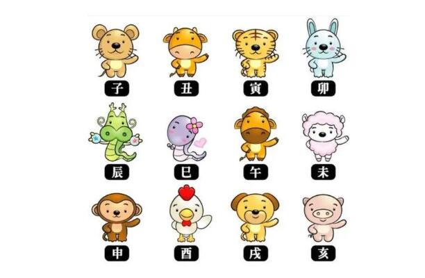 十二生肖排序表图：鼠/牛/虎/兔/龙/蛇/马/羊/猴/鸡/狗/猪