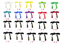 跆拳道级别及腰带颜色有几种：11个颜色(黑带最高级别)