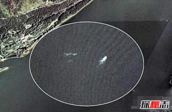 曝光铜山湖水水怪真实照片，头如野牛双眼似绿灯