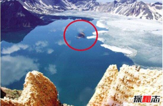 长白山天池怪兽真的存在吗，与美国夏普朗湖水怪极其相似（图片）