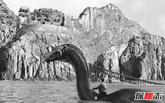 揭秘加拿大水怪奥古布古真相，实则一条巨大的海蛇