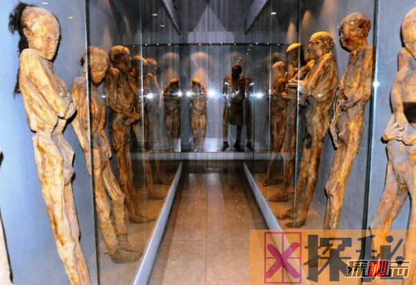 世界上最奇特的12个博物馆,冰岛灯塔博物馆收藏215男性生殖器官
